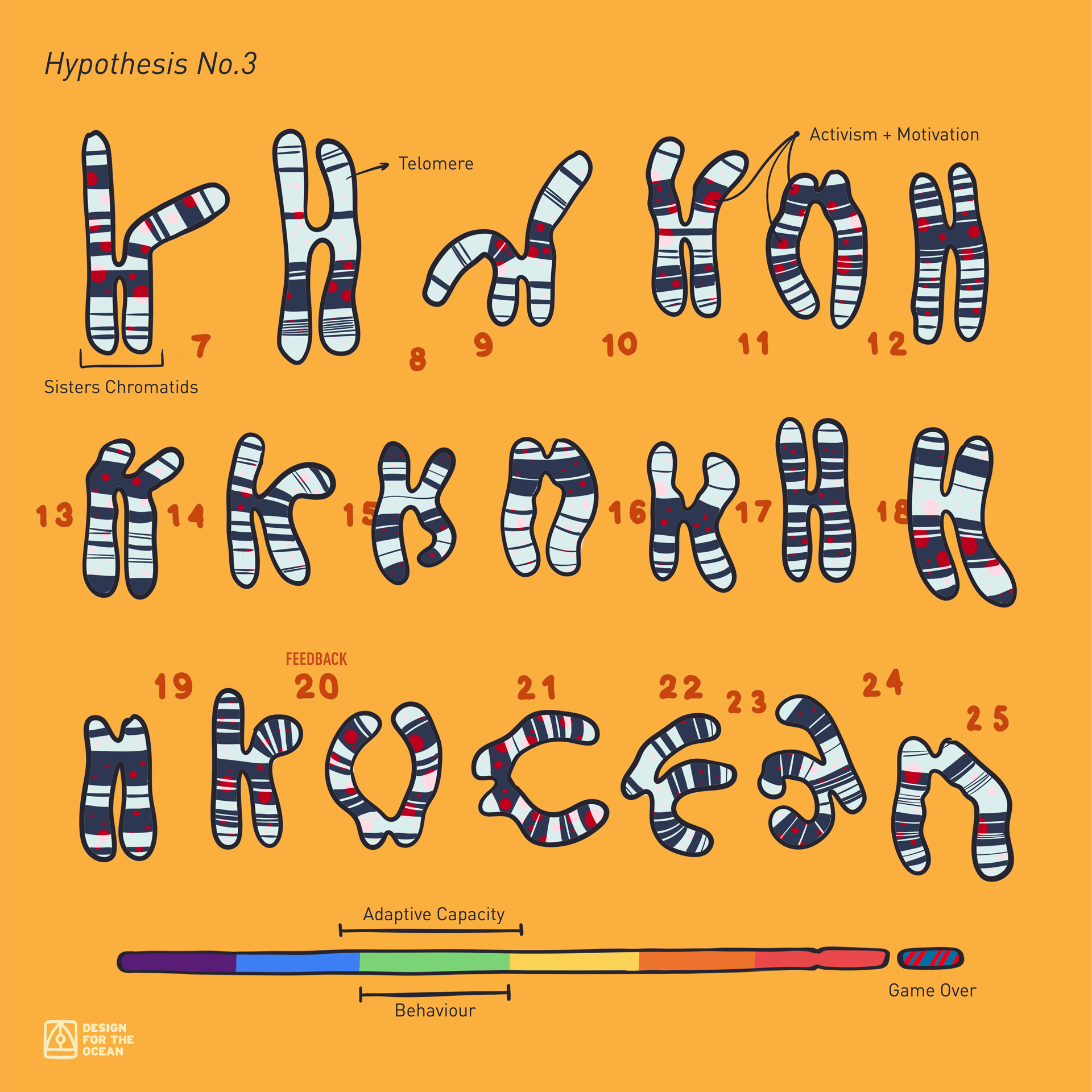 Hypothesis No.3 – ocean literacy chromosomes