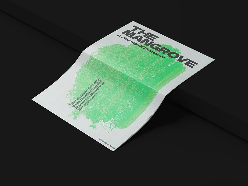 The Mangrove: A Journey of Discovery – publication cover