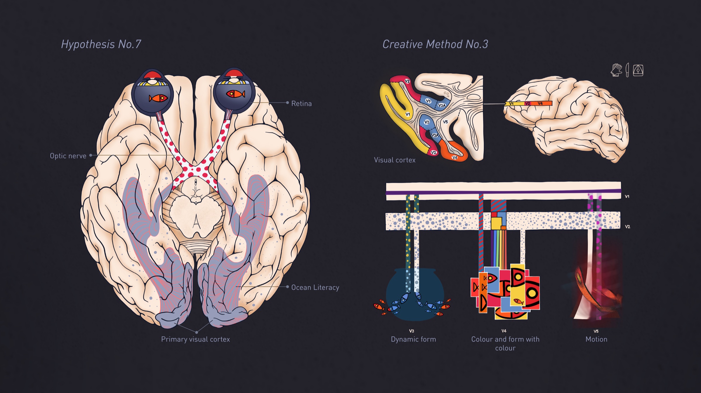 Hypothesis No.7 and Creative Method No.3 – the visual cortex and ocean literacy